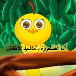 أنا عصفورة ـ أناشيد للأطفال