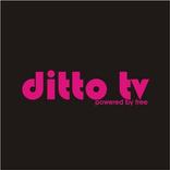 Free ditto TV -  Live TV Shows Channels List