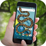 Snake on Screen Funny Joke