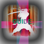 guide shadow fight 2