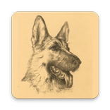 Dog Atlas