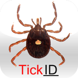 NCSU TickID