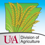 Rice Advisor
