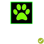 My chat noir