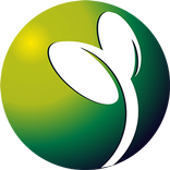 Jiayu