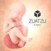Tu Embarazo APK