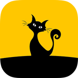 Pet Camera - animal photography