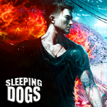 Guide Sleeping Dogs