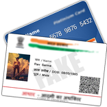 Fake ID Card