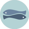PhotoWidget APK