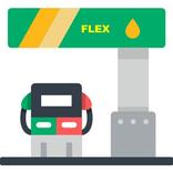 FLEX