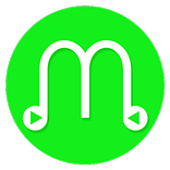 Native Music Player