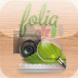 Folia