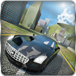 American Luxury and Sports Car Simulator