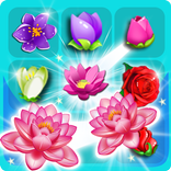 Blossom Garden 2018