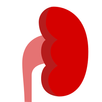 Kidney Health Logbook for CKD, AKI, Renal patients APK