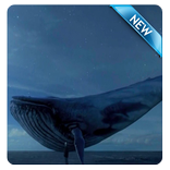the Bigest blue whale