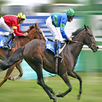Horse Racing APK
