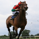 Horse Racing System