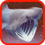Hungry Big Shark