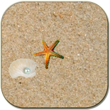 Ocean floor