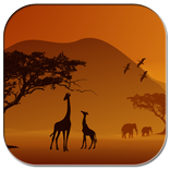Africa