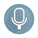 HSW voice command APK