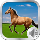 Ringtones de sons do cavalo APK