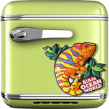 World Travel Magnets