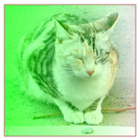 Image Color Changer(gradation)