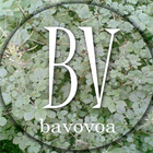 BAVOVOA icon