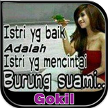 Crazy DP Images