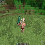 Mod Morph Craft