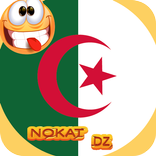 Nokat Dz Top