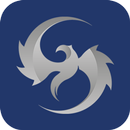 Phoenix Performance APK