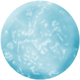 Plastic Bubbles
