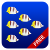 Fish swarm Live Wallpaper FREE APK