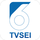 TVSEI