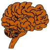 MasterMind APK