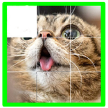 cat puzzle