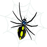 Angry Spider Runner