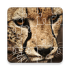 JigSaw APK