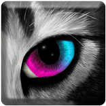 Color Splash Touch Effect