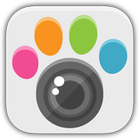 Animal Camera