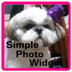 Simple Photo Widget APK