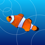 ”Tap Aquarium