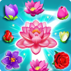 Blossom Splash APK