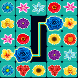 Onet Flowers 2017