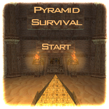 Pyramid Survival