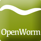 ”WormWorx